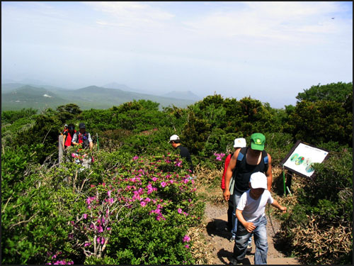 봄철 한라산은 발 디딜 틈이 없습니다. 